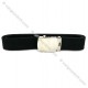 Vanguard® Nylon Web Belt (Black) with Silver Mirror Hardware